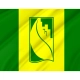 Etobicoke, Ontario Flag for Indoor & Outdoor Use - Imagine 2