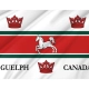 Guelph, Ontario Flag for Indoor & Outdoor Use - Imagine 2