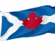 Ottawa-Carleton, Ontario Flag for Indoor & Outdoor Use - Imagine 1