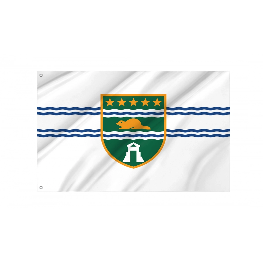 Flag of Surrey, British Columbia, Patriotic Flags, Unique Design Print, Flags for Indoor & Outdoor Use, CA--47