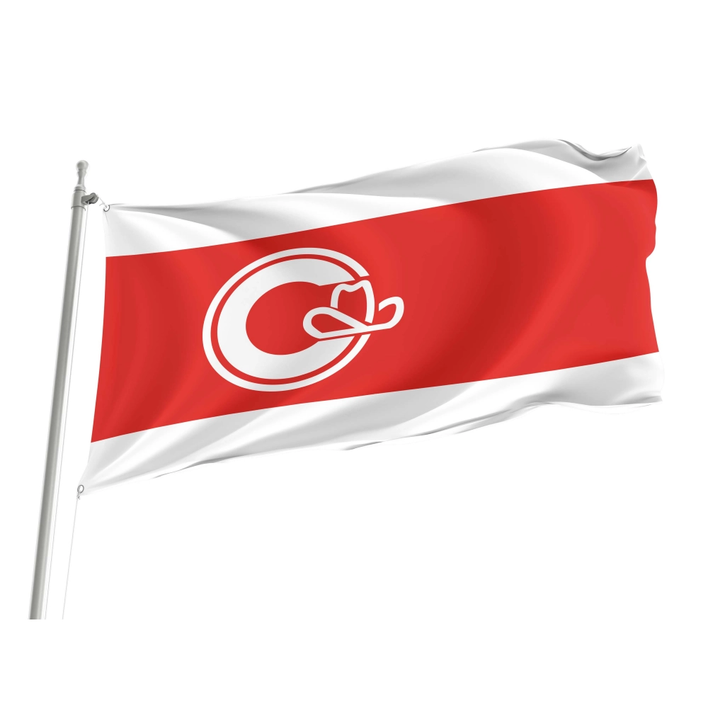 Calgary Metropolitan Region Flag for Indoor & Outdoor Use Calgary Metropolitan Region Flag for Indoor & Outdoor Use