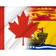 Canada New Brunswick Friendship Flag for Indoor & Outdoor Use - Imagine 2