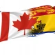 Canada New Brunswick Friendship Flag for Indoor & Outdoor Use - Imagine 1