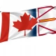Canada Newfoundland and Labrador Province Friendship Flag - Imagine 1