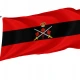 Chief of the General Staff (Canada) Flag for Indoor & Outdoor Use - Imagine 1