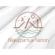 Nlaka'pamux Flag for Indoor & Outdoor Use - Imagine 2