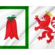 Arauco Flag for Indoor & Outdoor Use - Imagine 2