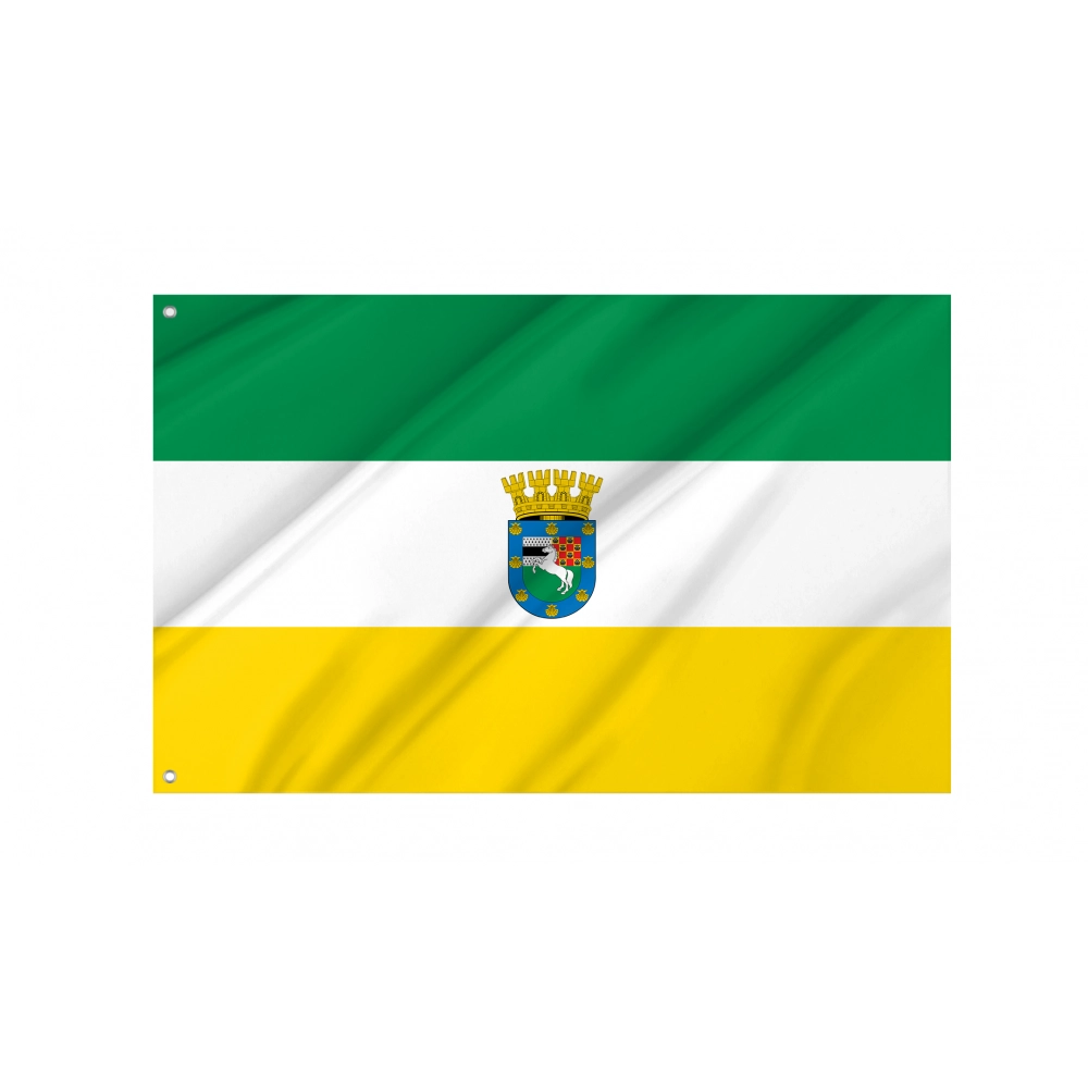 La Pintana Flag for Indoor & Outdoor Use