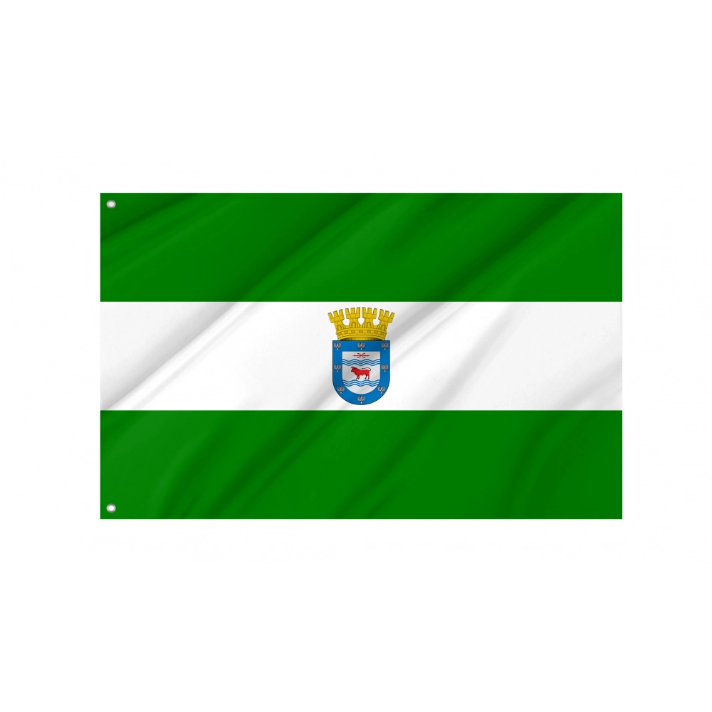 Los Ángeles Flag for Indoor & Outdoor Use