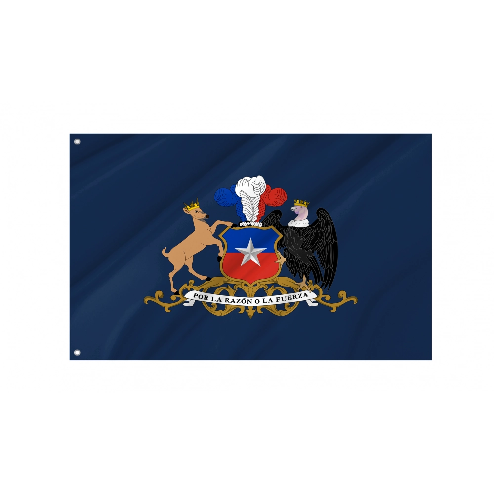 Minister of Defence of Chile Flag for Indoor & Outdoor Use