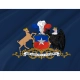 Minister of Defence of Chile Flag for Indoor & Outdoor Use - Imagine 2