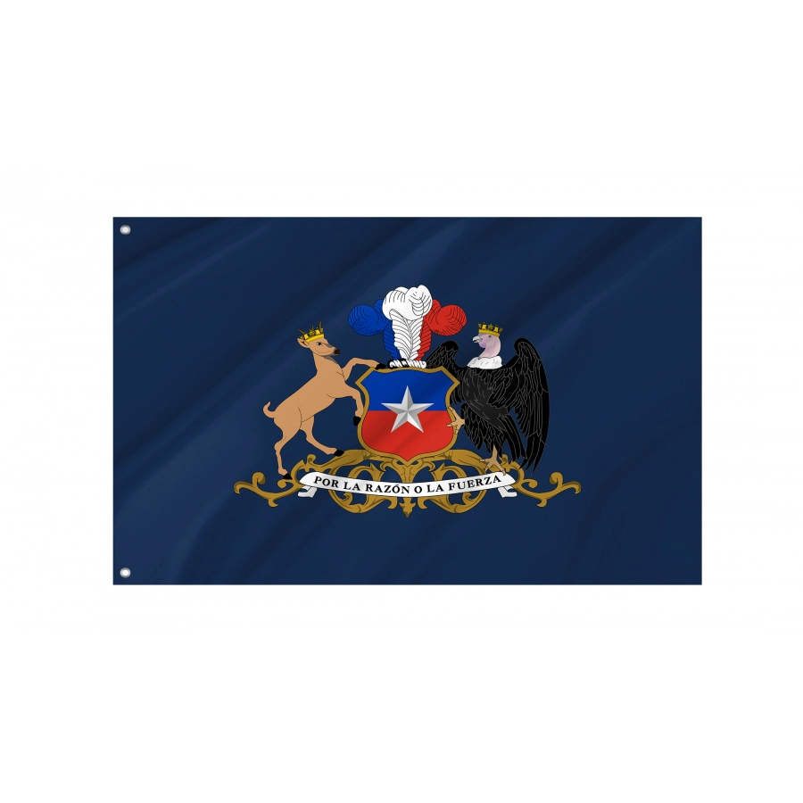 Flag of Minister of Defence of Chile, Patriotic Flags, Unique Design Print, Flags for Indoor & Outdoor Use