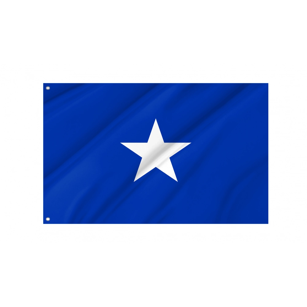Naval Jack of Chile Flag for Indoor & Outdoor Use