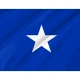Naval Jack of Chile Flag for Indoor & Outdoor Use - Imagine 2