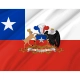 Presidential flag of the Republic of Chile for Indoor & Outdoor Use - Imagine 2