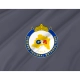 Santiago Metropolitan Region Flag for Indoor & Outdoor Use - Imagine 2