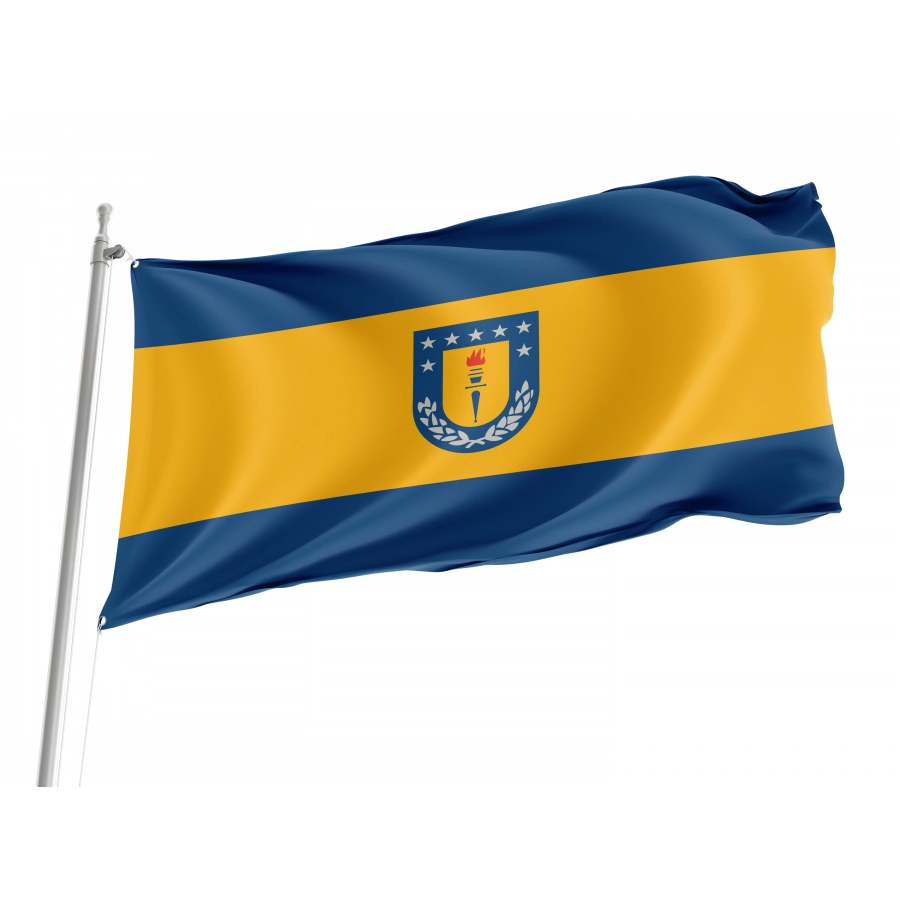 Flag of University of Concepción, Patriotic Flags, Unique Design Print, Flags for Indoor & Outdoor Use