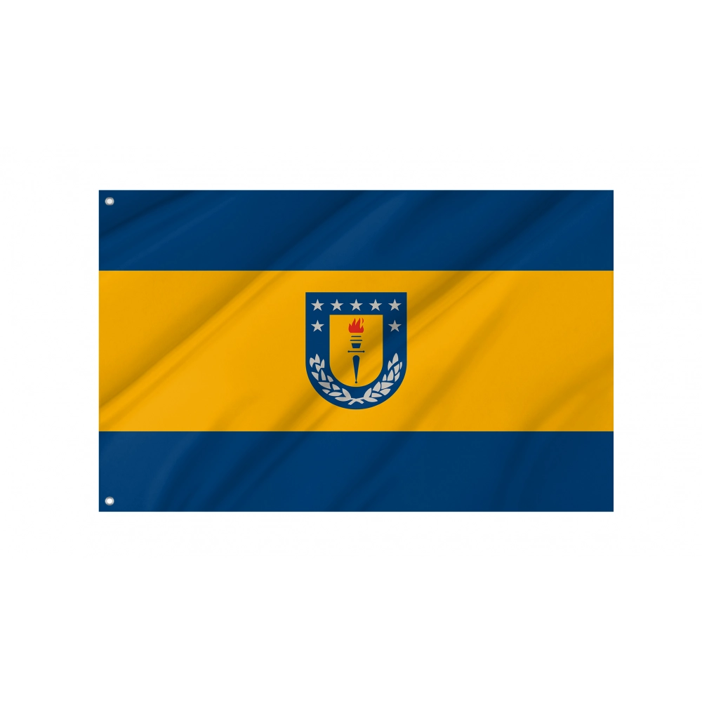 University of Concepción Flag for Indoor & Outdoor Use