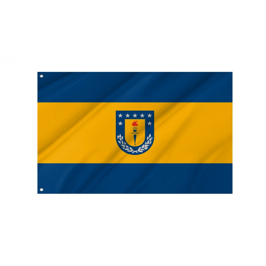 Flag of University of Concepción, Patriotic Flags, Unique Design Print, Flags for Indoor & Outdoor Use