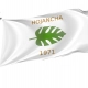 Hojancha Flag for Indoor & Outdoor Use - Imagine 1