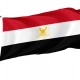 Egypt 1972-1984 Flag for Indoor & Outdoor Use - Imagine 1
