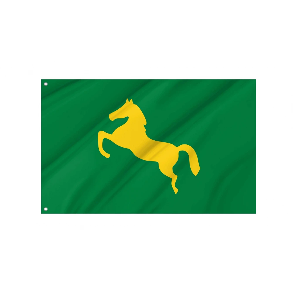 Egypt's Ash Sharqiyah Governorate Flag