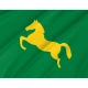 Egypt's Ash Sharqiyah Governorate Flag - Imagine 2