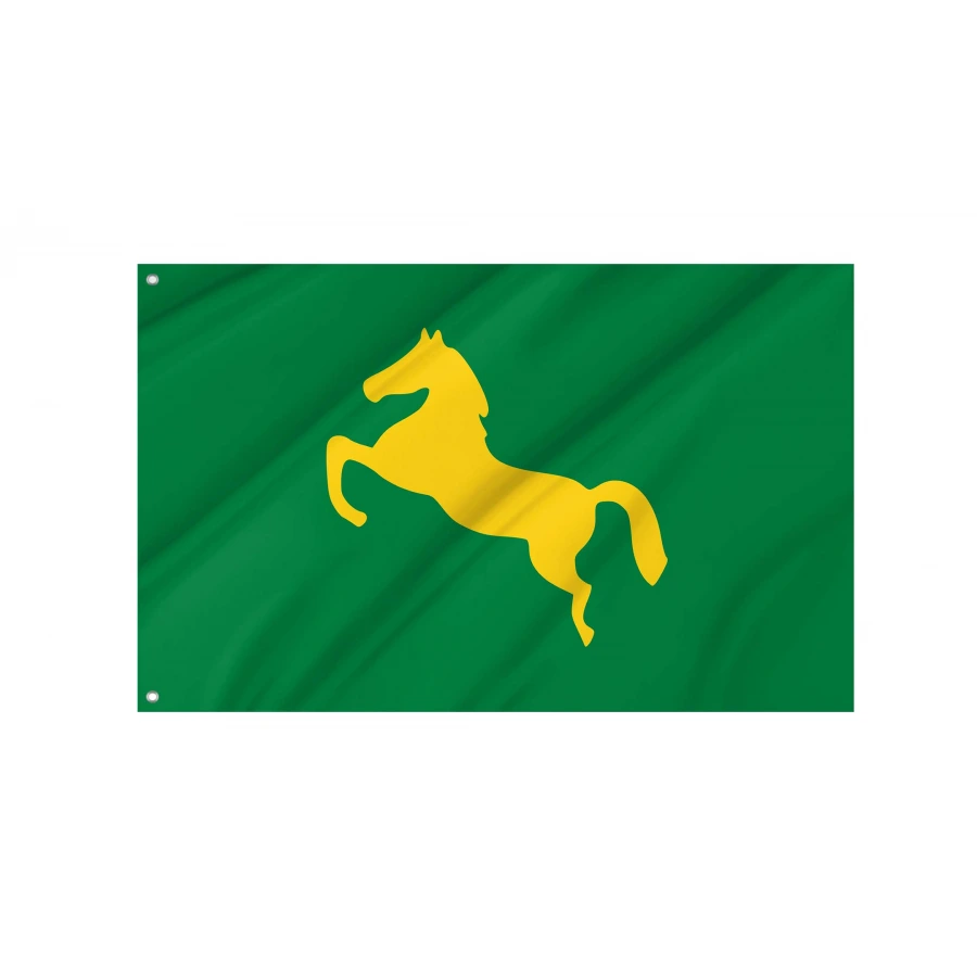 Egypt's Ash Sharqiyah Governorate Flag, EGY09