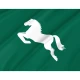 Sharqia Governorate Flag for Indoor & Outdoor Use - Imagine 2