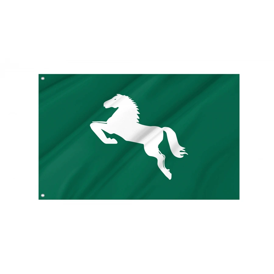 Sharqia Governorate Flag for Indoor & Outdoor Use, EGY10