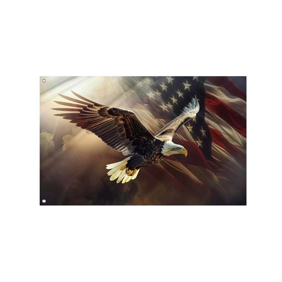 American Flag With Eagle For Us National Loyalty Day Celebration - High Quality United States for Indoor and Outdoor Use