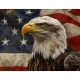 American eagle Flag for Indoor & Outdoor Use - Imagine 2