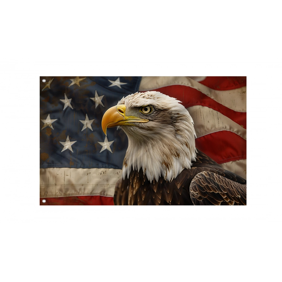 American Flag With Eagle, Unique Design Print - High Quality United States for Indoor and Outdoor Use