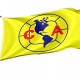 Club América Flag for Indoor & Outdoor Use - Imagine 1
