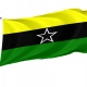 Logone Flag for Indoor & Outdoor Use - Imagine 1
