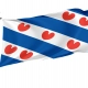 Frisian Flag for Indoor & Outdoor Use - Imagine 1