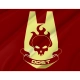 Orbital Drop Shock Troopers Flag for Indoor & Outdoor Use - Imagine 2