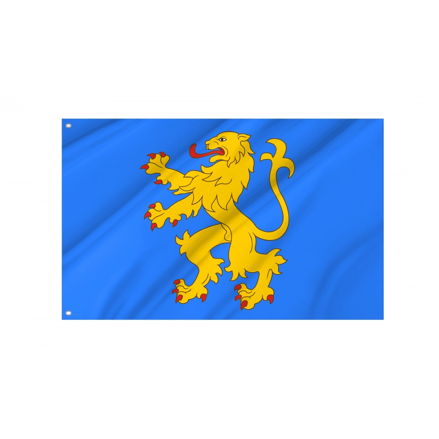 Flag of Sheldon's apartment, Patriotic Flags, Unique Design Print, Flags for Indoor & Outdoor Use