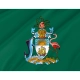 Bahamas House of Assembly Flag for Indoor & Outdoor Use - Imagine 2