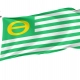 Ecology Flag for Indoor & Outdoor Use - Imagine 1