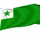 Esperanto Flag for Indoor & Outdoor Use - Imagine 1