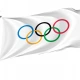 Olympic Flag for Indoor & Outdoor Use - Imagine 1