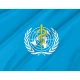 World Health Organization Flag - Imagine 2