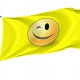 Winking Face Emoji Flag - Imagine 1