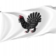 Central Finland Region Flag for Indoor & Outdoor Use - Imagine 1