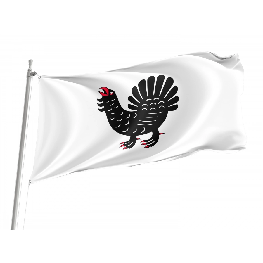 Flag of Central Finland Region, Patriotic Flags, Unique Design Print, Flags for Indoor & Outdoor Use