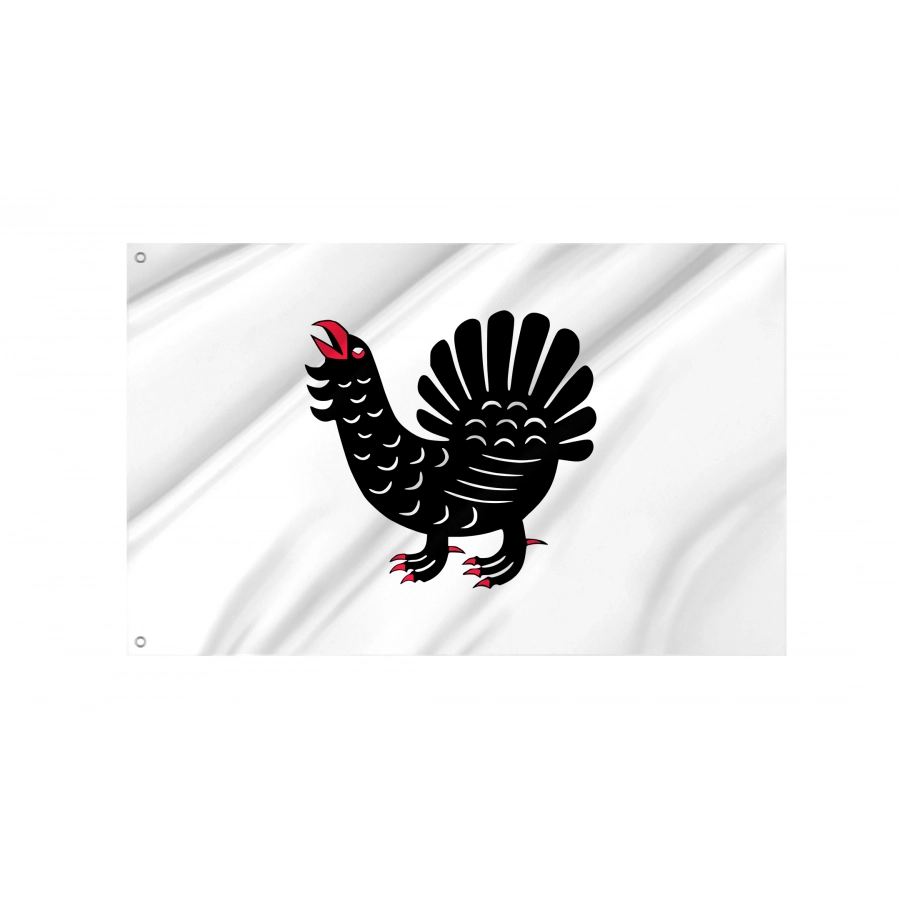 Flag of Central Finland Region, Patriotic Flags, Unique Design Print, Flags for Indoor & Outdoor Use