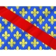 Allier Flag for Indoor & Outdoor Use - Imagine 2