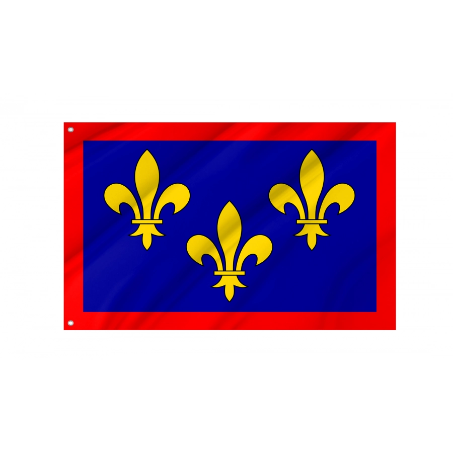 Flag Of Anjou, Patriotic Flags, Unique Design Print, Flags For Indoor & Outdoor Use - High Quality France for Indoor and Outdoor Use