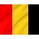 Besançon Flag for Indoor & Outdoor Use - Imagine 2